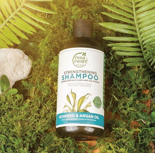 Seaweed & Argan Oil
